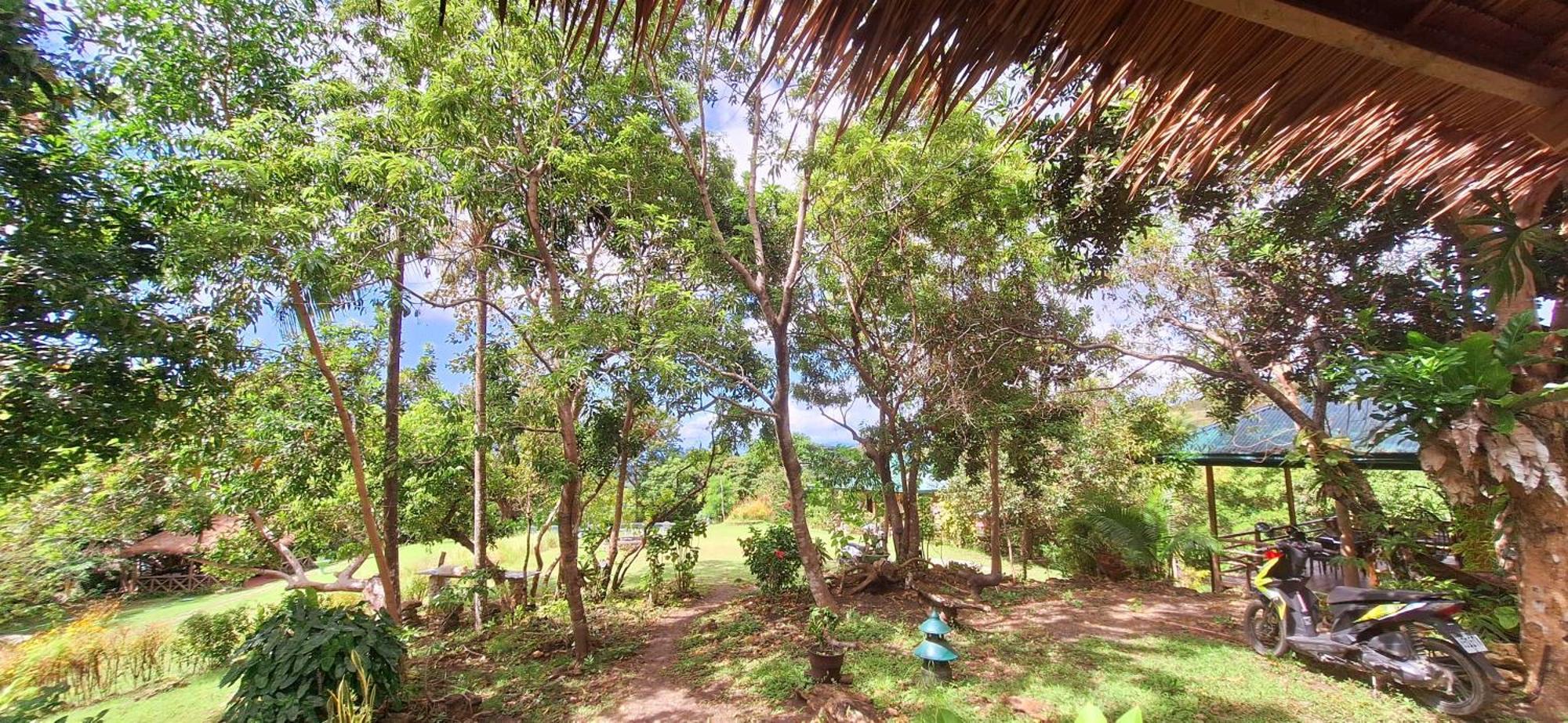 Om Horizon Ecoresort Tayong Exteriér fotografie